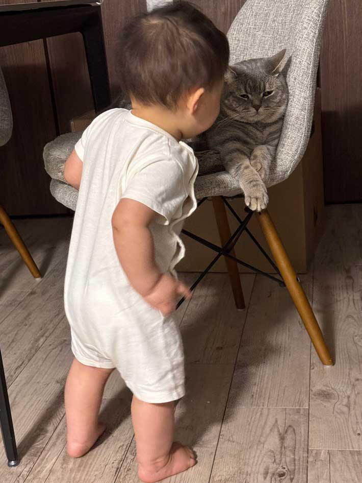 赤ちゃんににらまれて、困った表情を浮かべる猫の写真