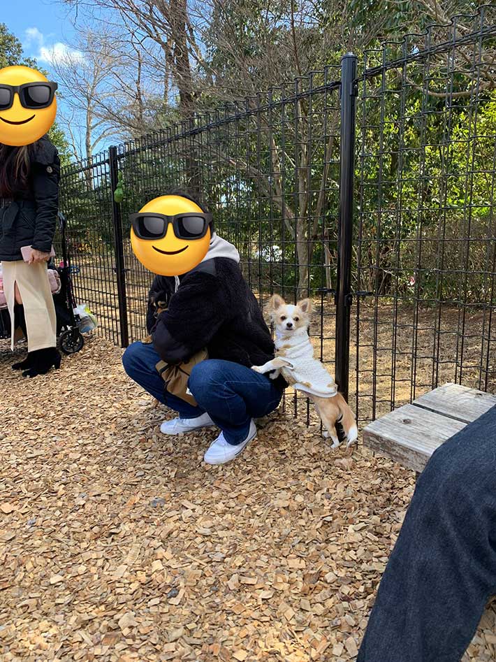 犬の写真