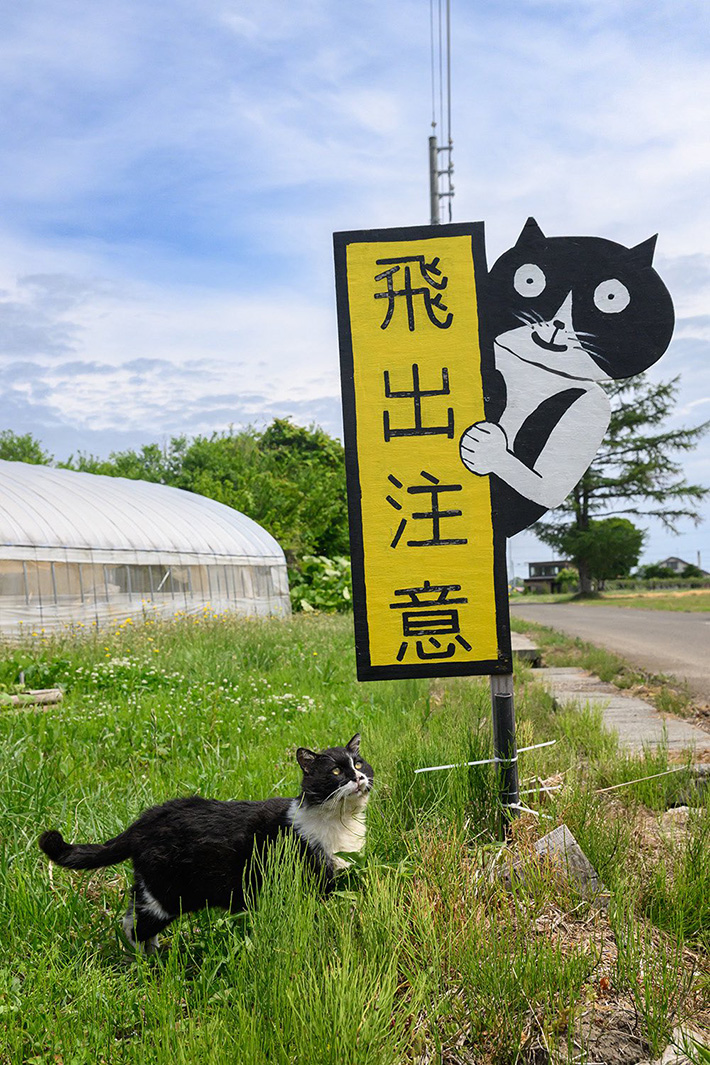看板の写真