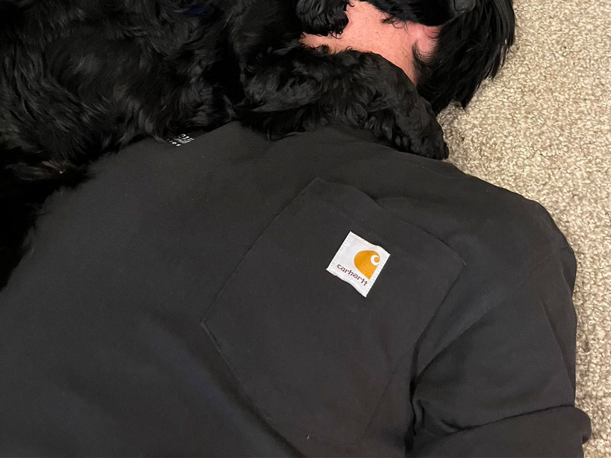 犬の写真