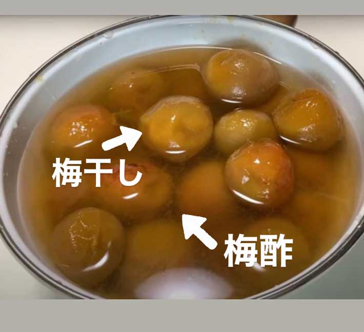 梅の画像
