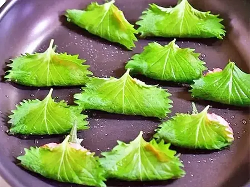 『大葉の餃子風』を作る写真(撮影:小泉明代)