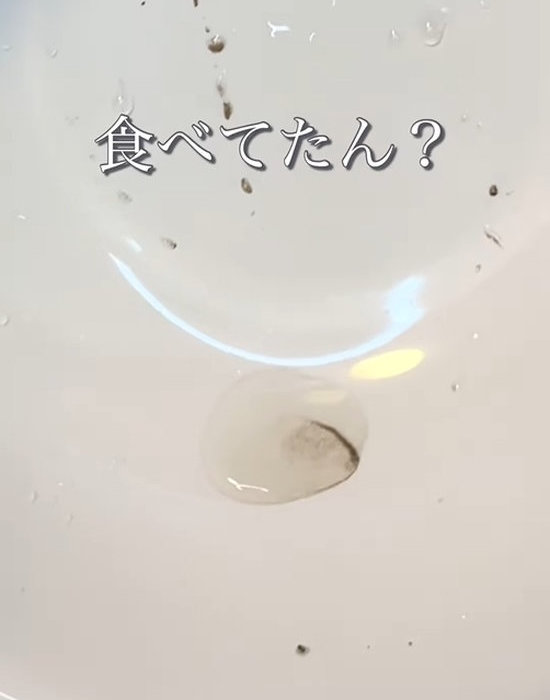 ブロッコリーから出た汚れ
