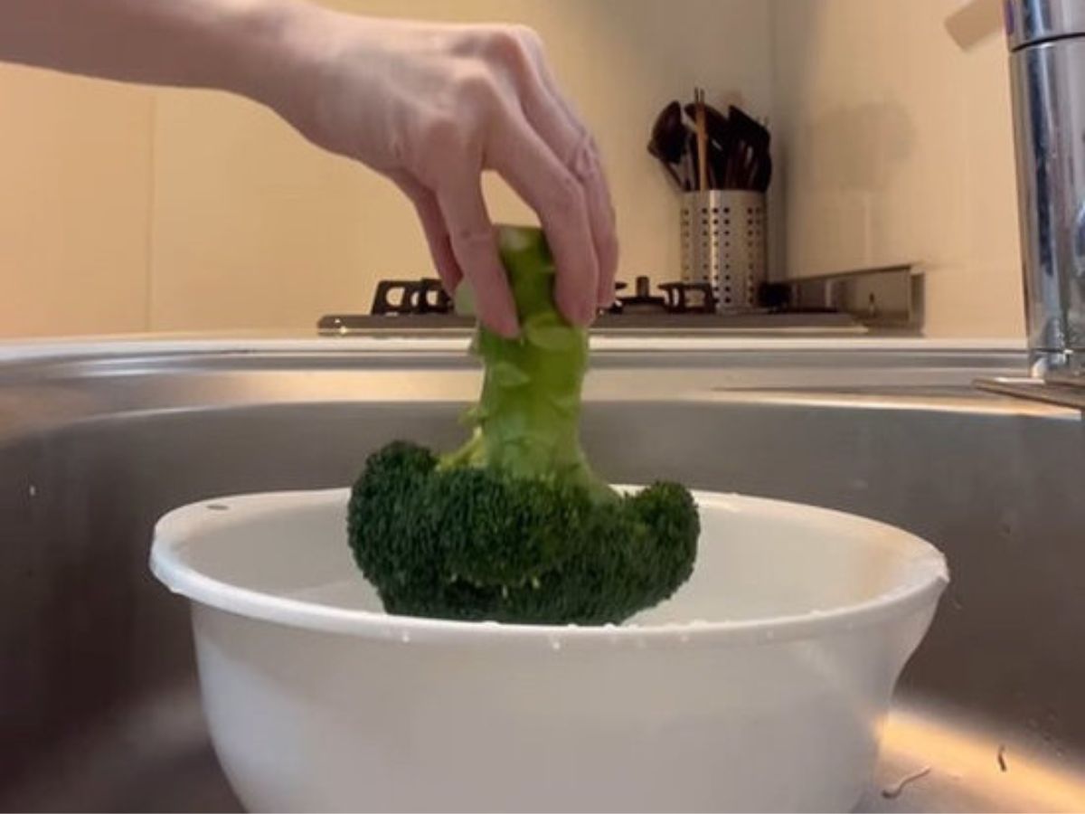 ブロッコリー