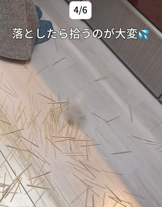 床に落ちた爪楊枝