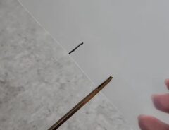 クリアファイル