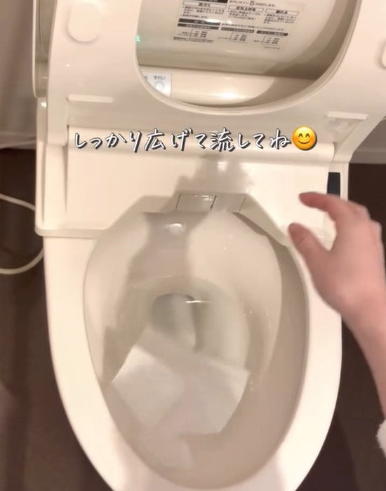 トイレシートをトイレで流している様子