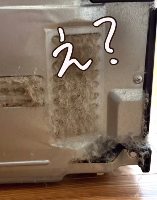 ホコリが詰まっている吸気口