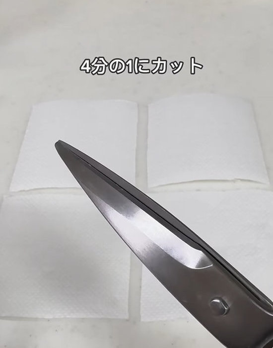 ４枚にカットしたキッチンペーパーとはさみ