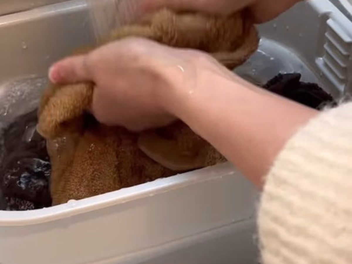 タオル