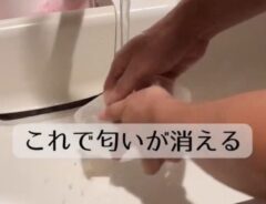 保存容器