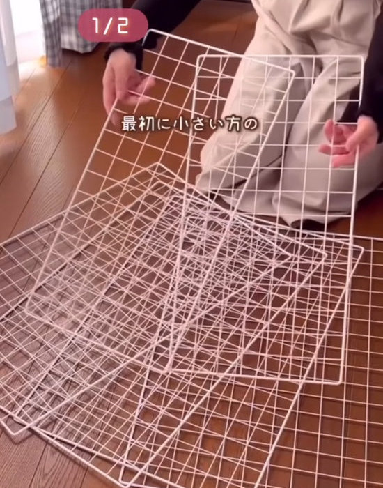 ワイヤーネットを手にしている様子