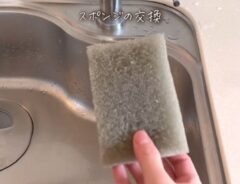 スポンジ