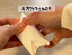 ナプキン