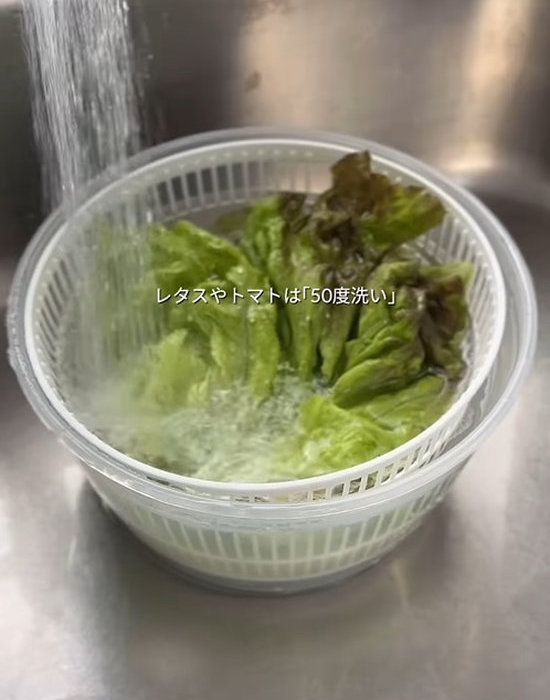 レタスを洗っている様子