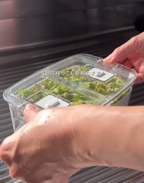 保存容器に入ったレタス