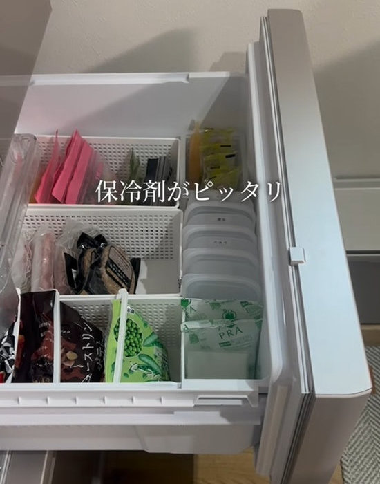 冷凍庫に収納した食品や保冷剤
