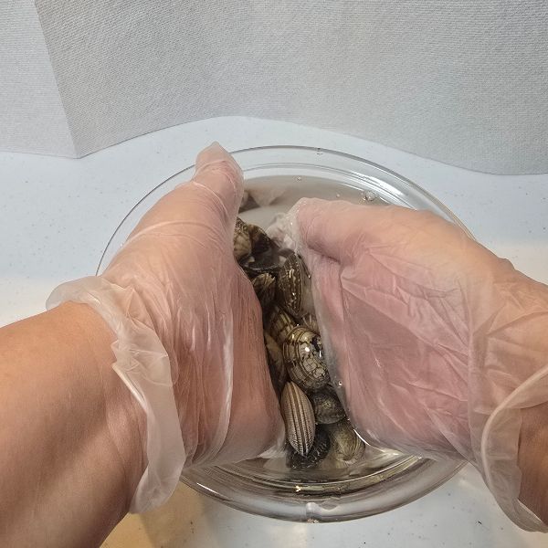 アサリをこすり洗いする様子