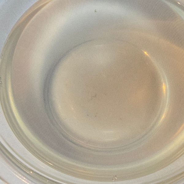 アサリを入れていたお湯の入ったボウルに砂が沈んでいる様子
