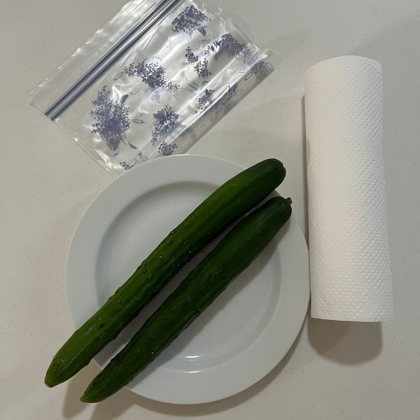 キュウリ２本とキッチンペーパーと冷凍用保存袋を並べておいた様子