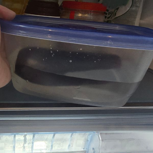 水を張った深さのある保存容器にナスを漬けた様子
