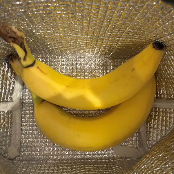 バナナを保冷バッグに入れた様子