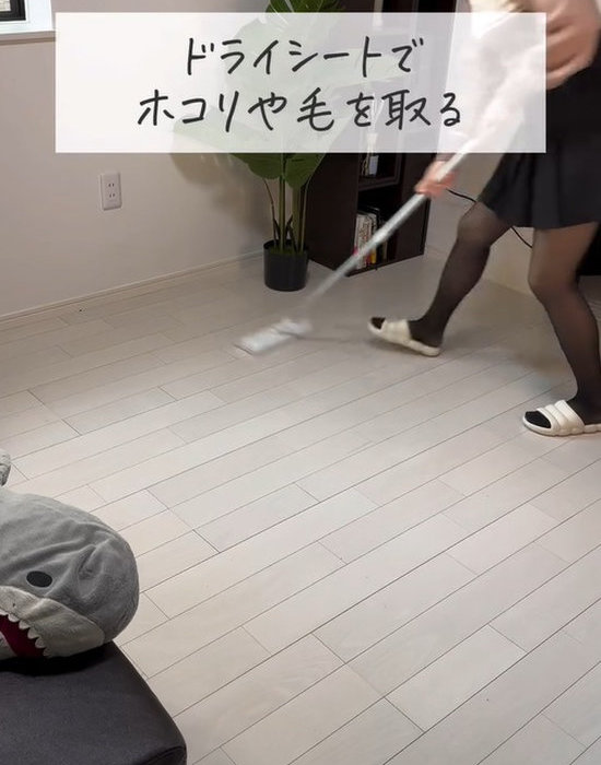 ドライシートでホコリを集める