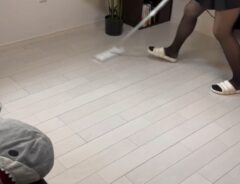 お掃除シート
