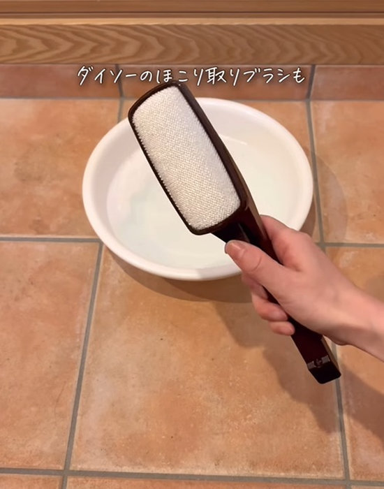 ホコリ取りブラシを手にしている様子
