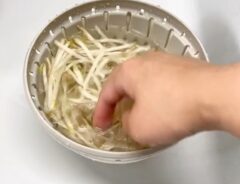 モヤシ
