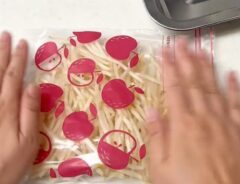 モヤシ