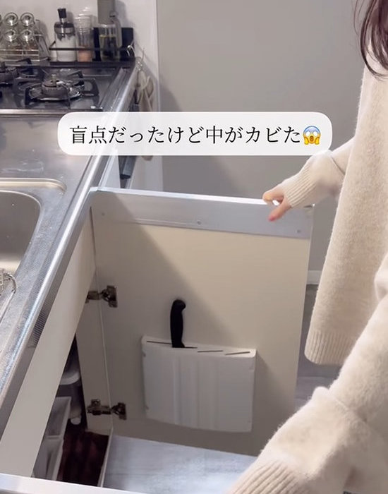 収納内にカビが生える