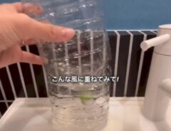 筆