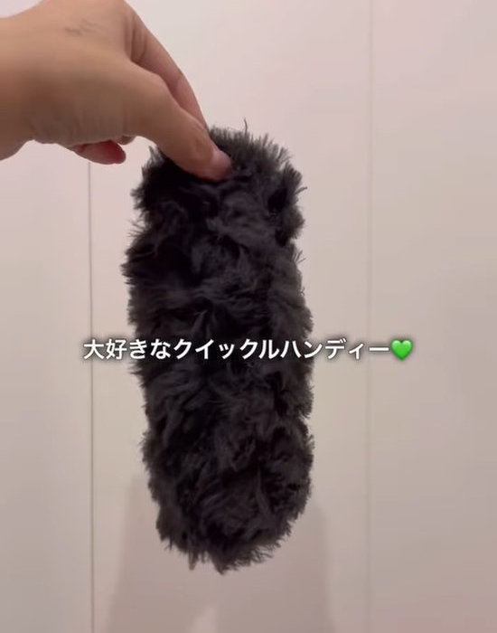 クイックルハンディを手にしている様子