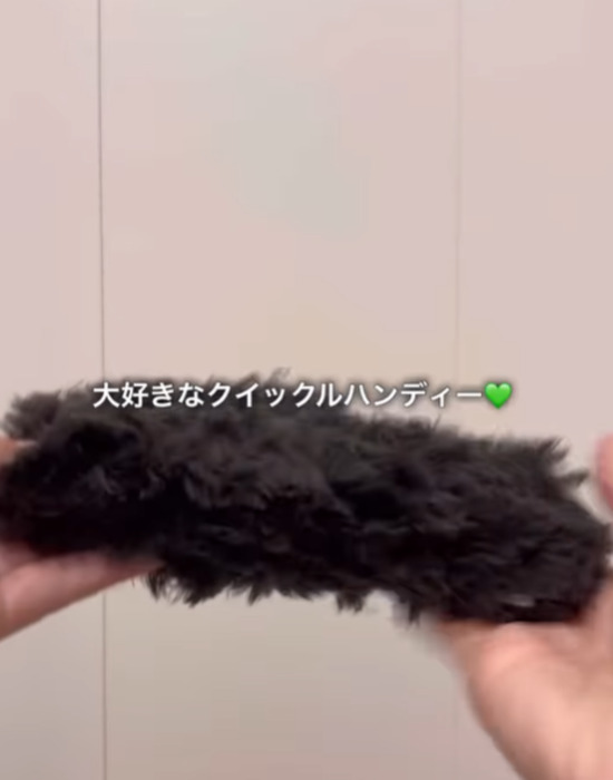 クイックルハンディを手にしている様子