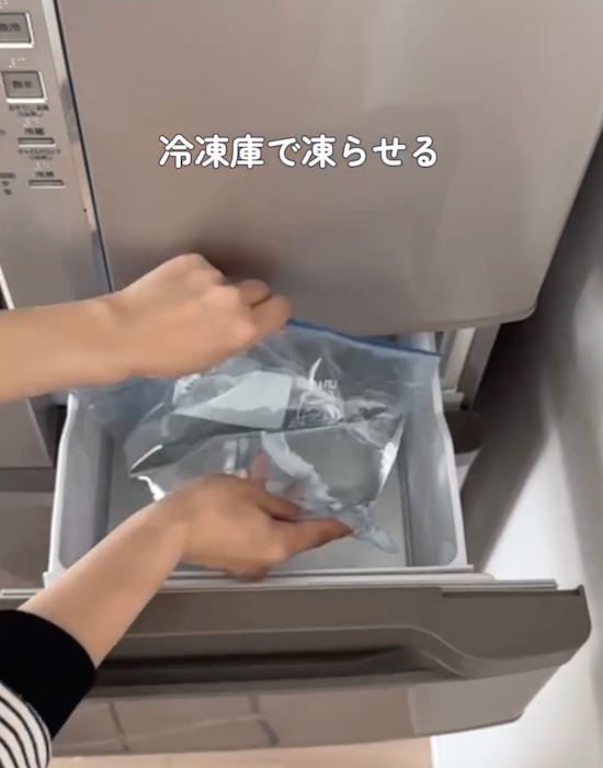 水の入ったビニール袋を冷凍庫に入れる様子