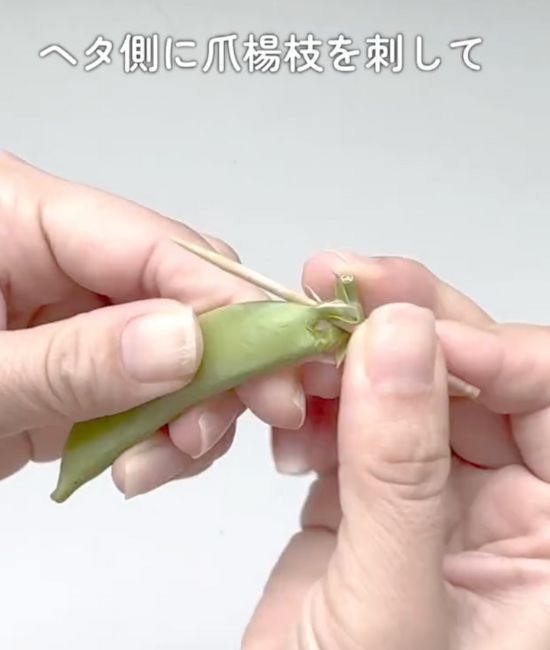 スナップエンドウのヘタ側につまようじを刺した状態で一回転させる様子