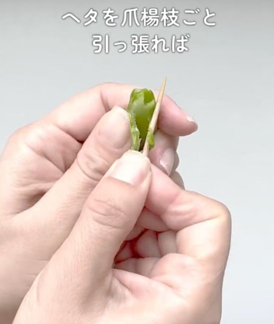 スナップエンドウのヘタが折れた様子