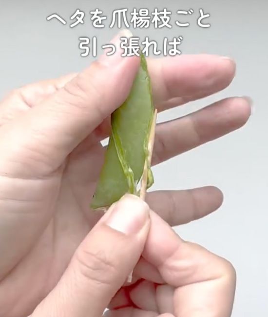 折れたヘタをつまようじごと下に引っ張る様子