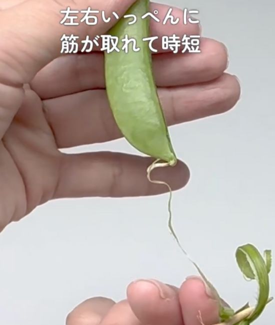 スナップエンドウの筋が取れた様子