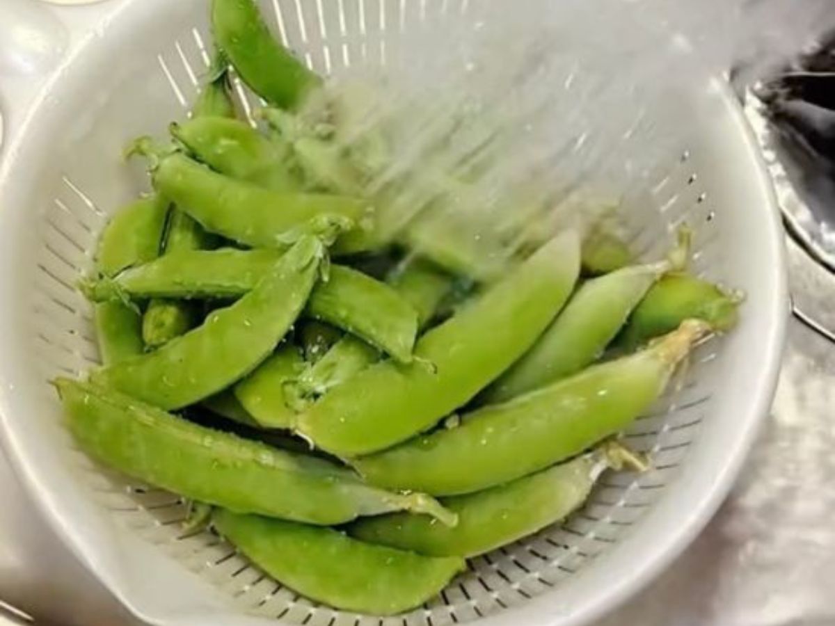 スナップエンドウ