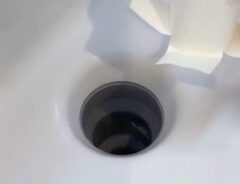 トイレットペーパーの芯