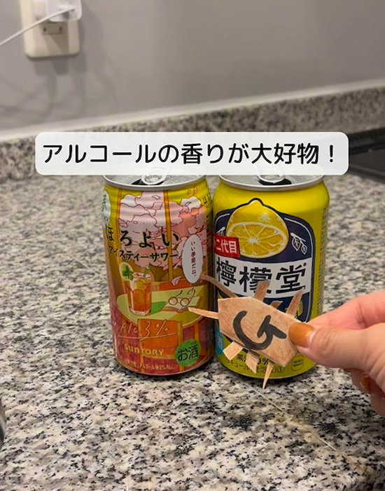 アルコール飲料の缶２つ