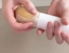 だし巻きたまご