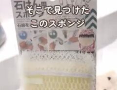 スポンジ