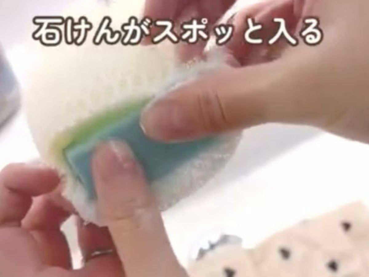 スポンジ
