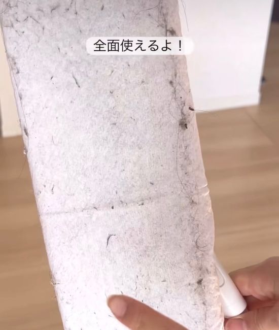 ホコリを取ったワイパー