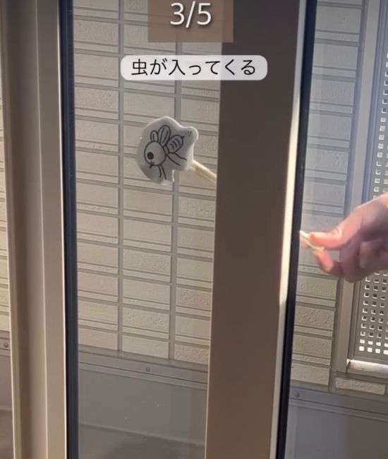 虫が入る様子