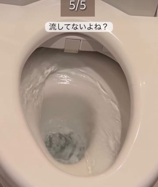 トイレを流す様子