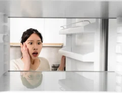冷蔵庫のカビを除去する方法とは？カビの原因とメンテナンスの方法も解説